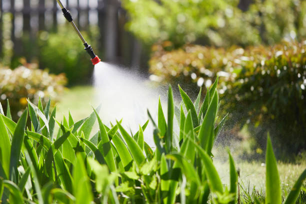 Tamper-Resistant Bait Stations for Rodents in Hartford