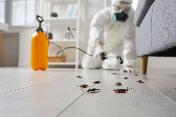 Commercial Rodent Management in Hartford